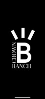 Crown B LLC