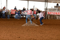 Ribbon Roping 60